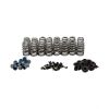 CCA Valve Spring Sets