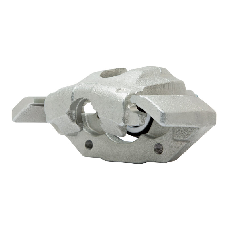 DFC 07-17 Ford Expedition Rear-R Premium Caliper - Silver Zinc Coated thumbnail 3