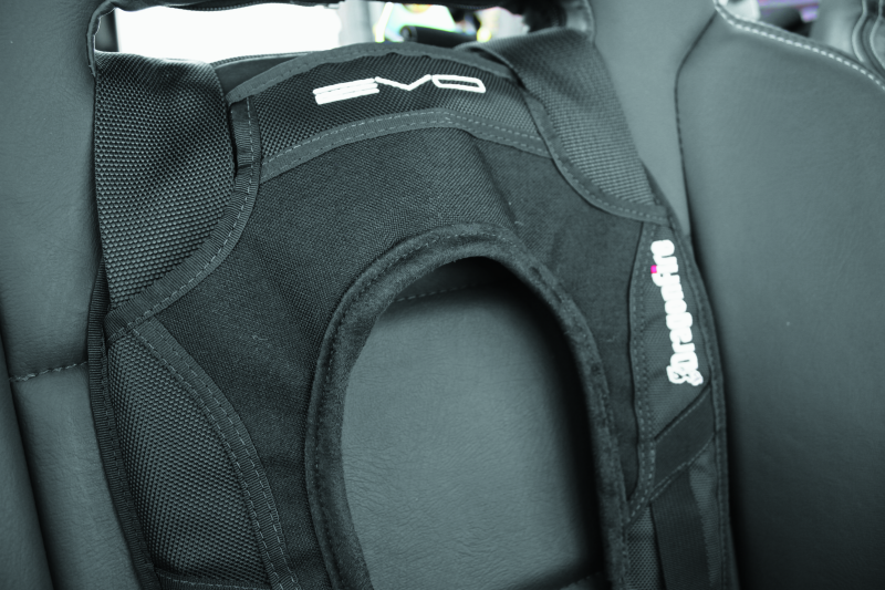 DragonFire Racing Harness Evo- Black thumbnail 6