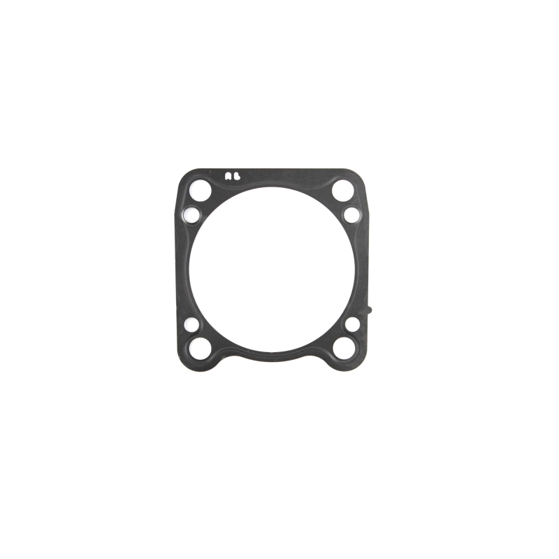 CG Base Gasket