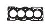 CG Head Gaskets