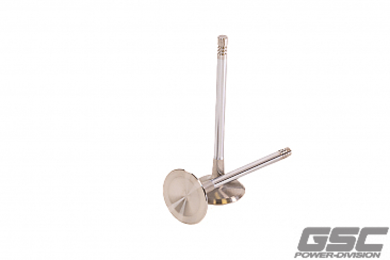 GSC Intake Valves -STD