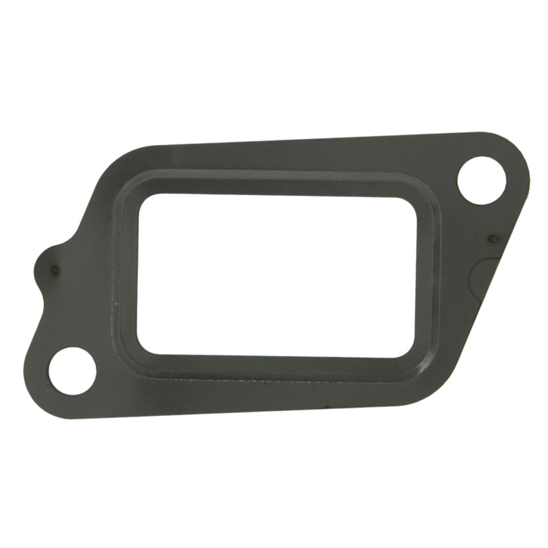 FEL Valve Gaskets
