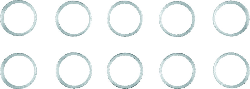 TWP Exhaust Gaskets