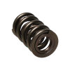 MAN Valve Spring Kits