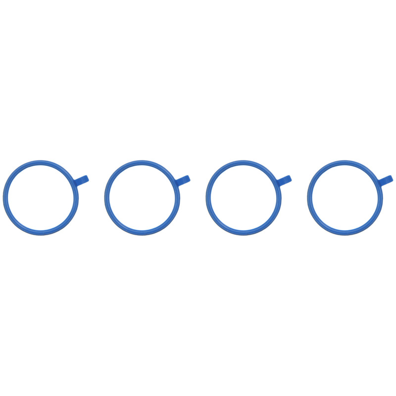 FEL Fuel Injection Plenum Gaskets