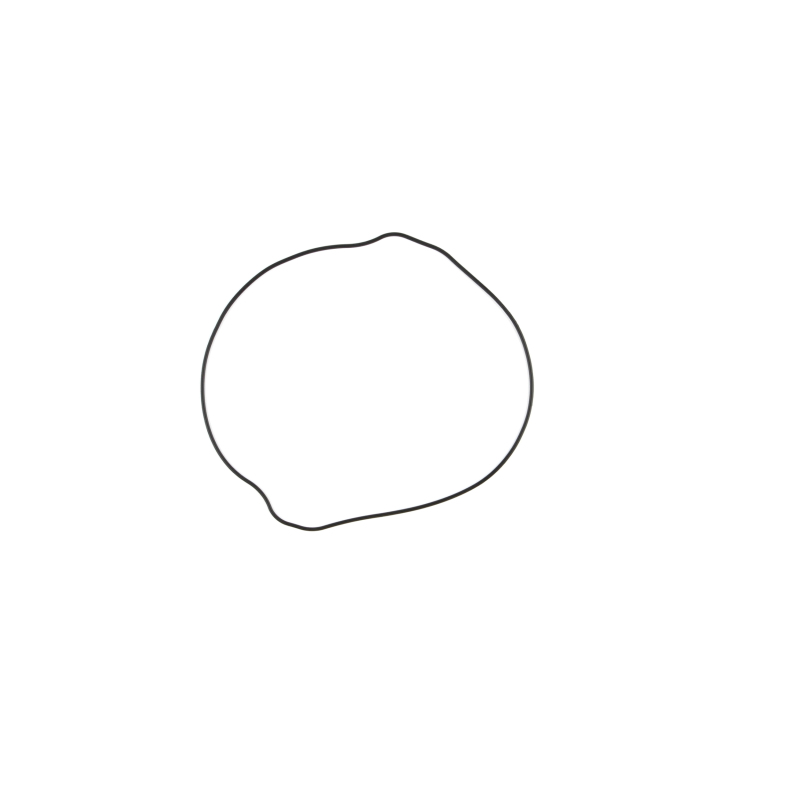 CG Clutch Cover Gasket