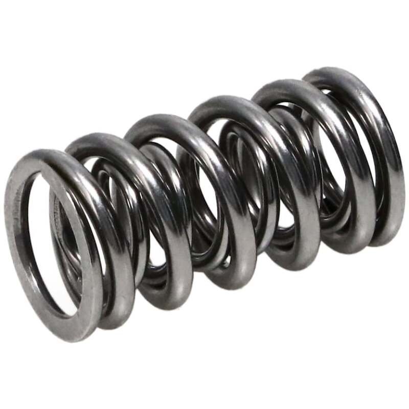 MAN Valve Spring Kits