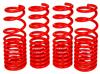 BX Lowering Springs
