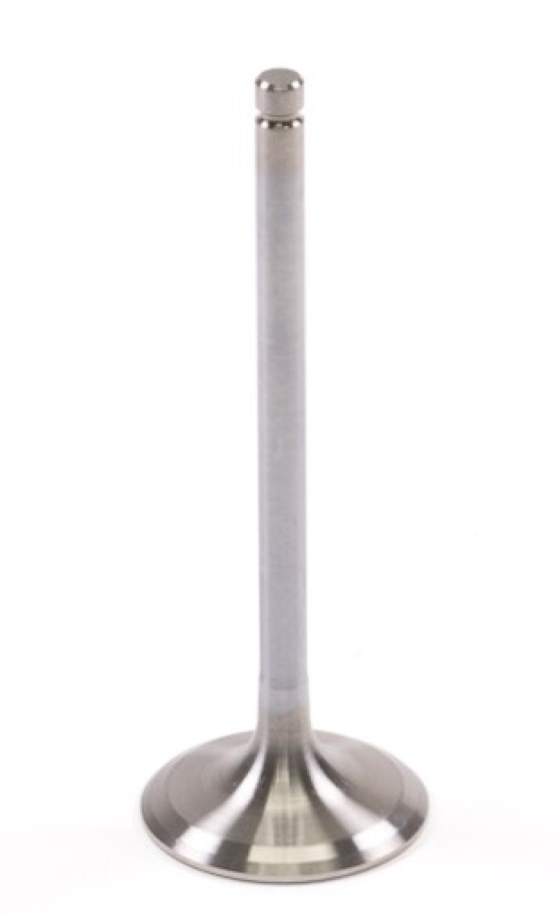 GSC Powersports Intake Valves