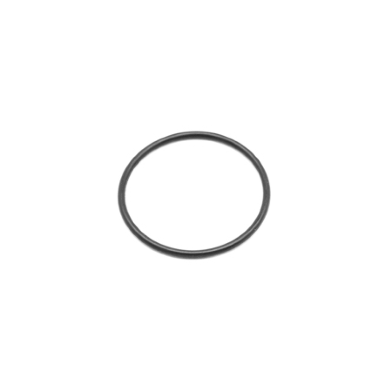 WIL Caliper O-Ring Seal