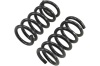 BT Coil Spring Set