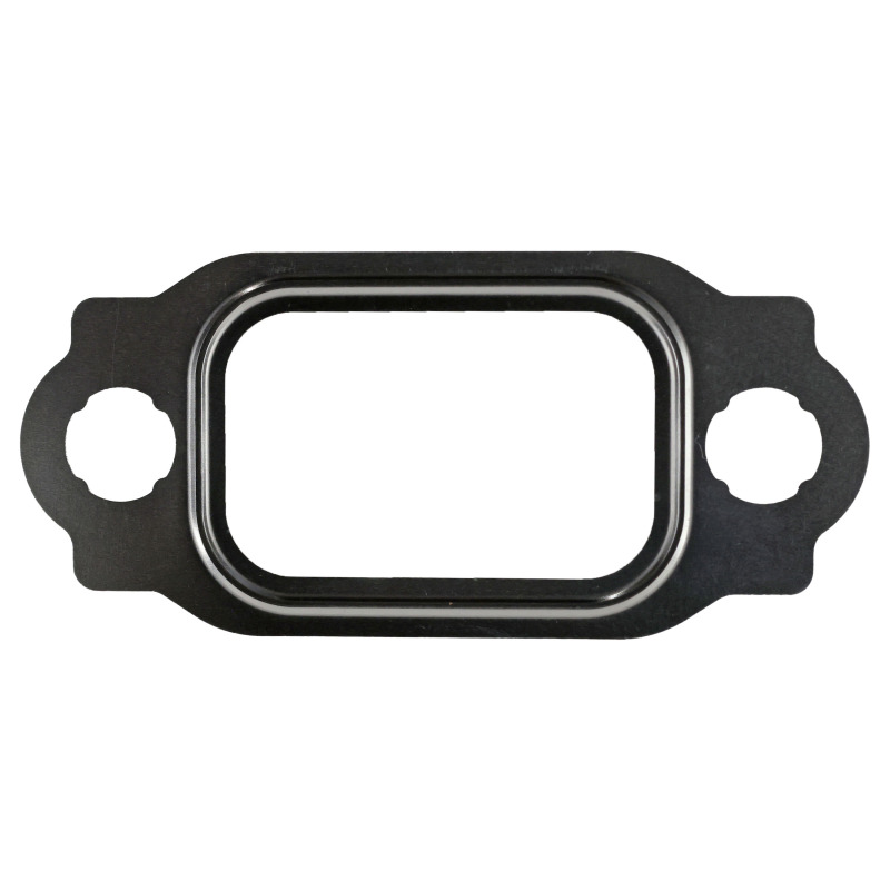 FEL Valve Gaskets