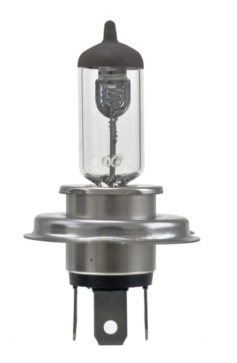 HELLA Halogen Bulb