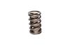CCA Valve Springs