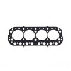 CG Head Gaskets