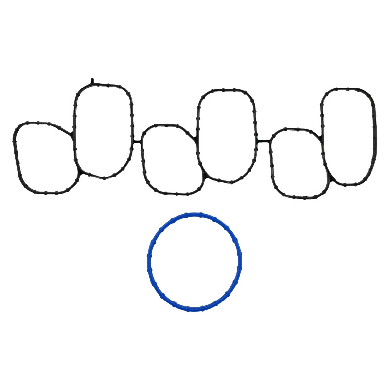 FEL Intake Manifold Gaskets