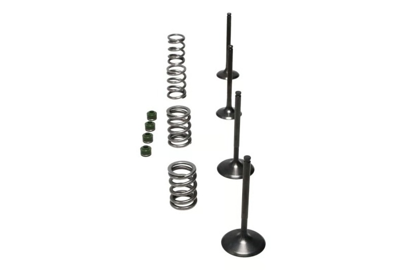 Wiseco 06-11 Suzuki LT-R450 Steel Valve Set