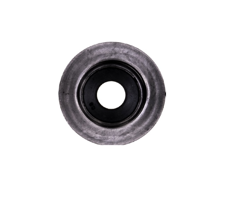 CG Valve Stem Seals
