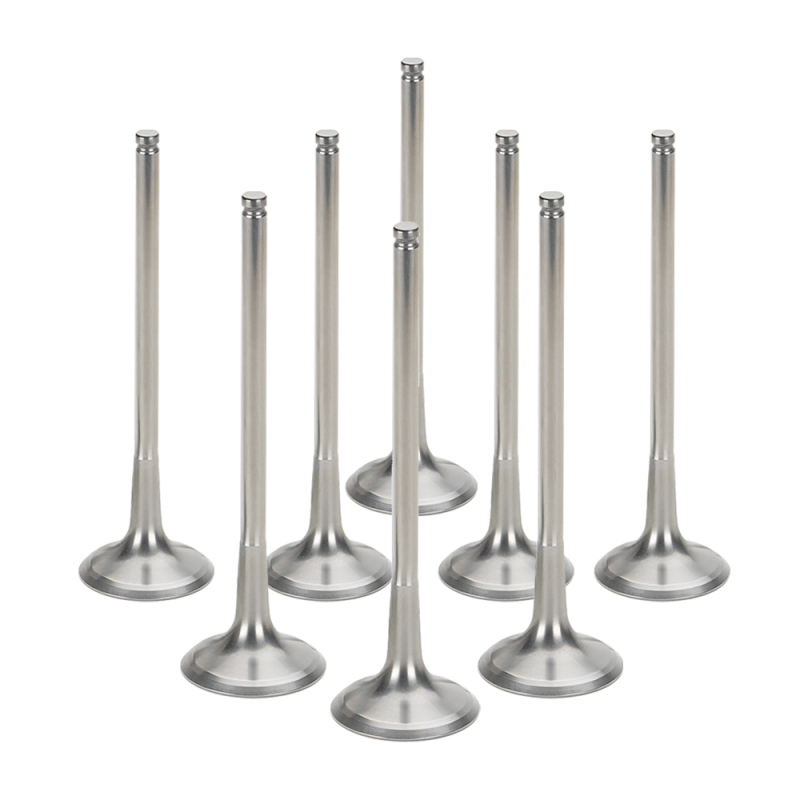 SPT Intake Valves