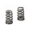 SPT Beehive Valve Springs