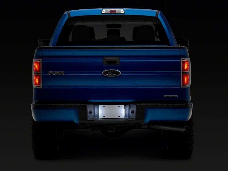 Raxiom 97-14 Ford F150 Axial Series LED License Plate Lamps thumbnail 4