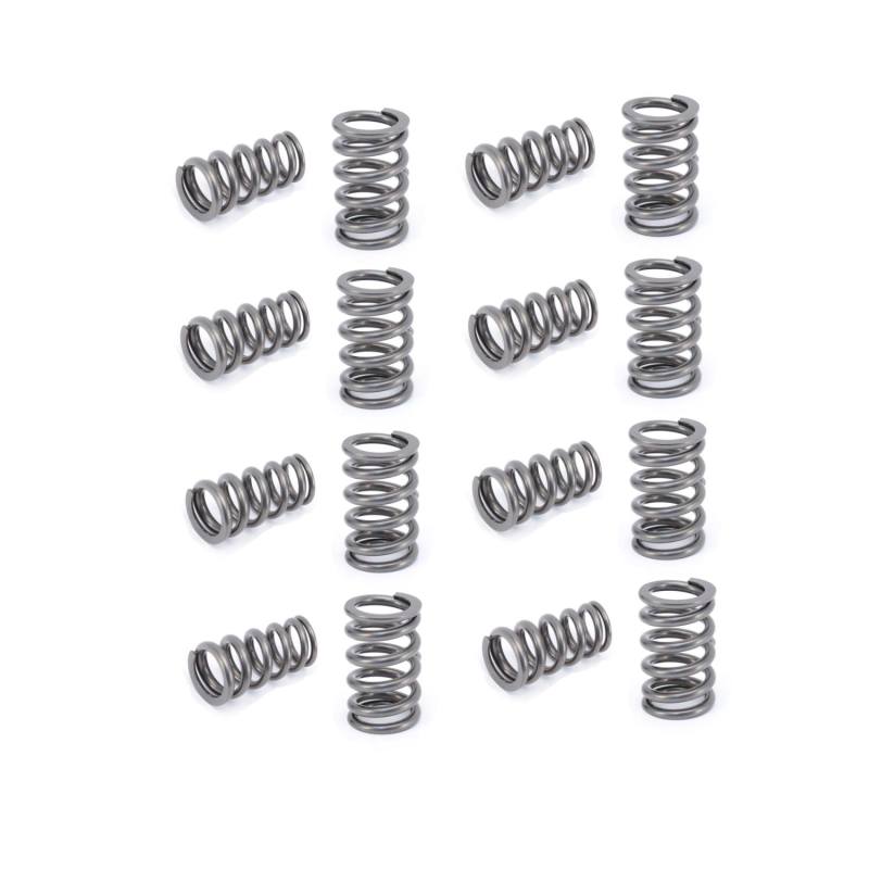 CCA Valve Spring Sets