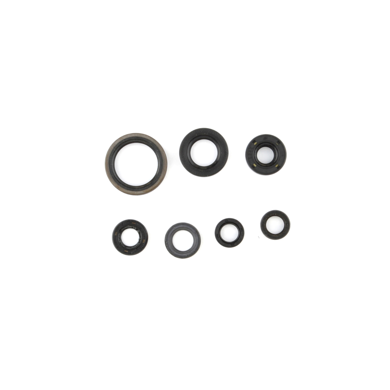 CG Oil Seal Kit