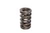 CCA Valve Springs