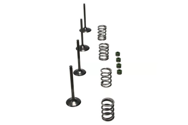 Wiseco 06-11 Suzuki LT-R450 Steel Valve Set