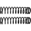 RHO Coil Spring Kits