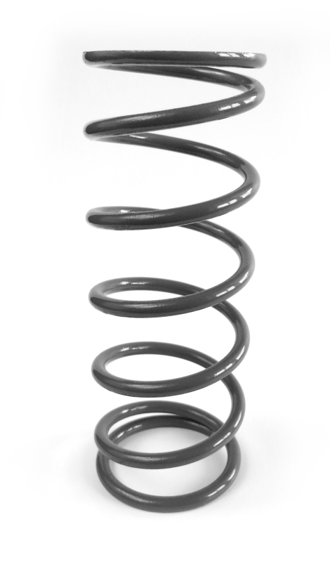 EPI Clutch Springs
