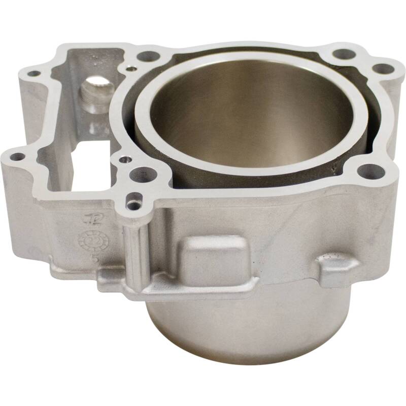 Cylinder Works 15-19 ACE 570/15-19 ACE 570 HD/17-19 Ranger 570 4x4 EPS Standard Bore Cylinder Kit