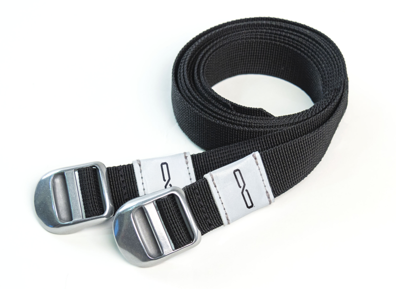 Giant Loop Cinch Straps - Black