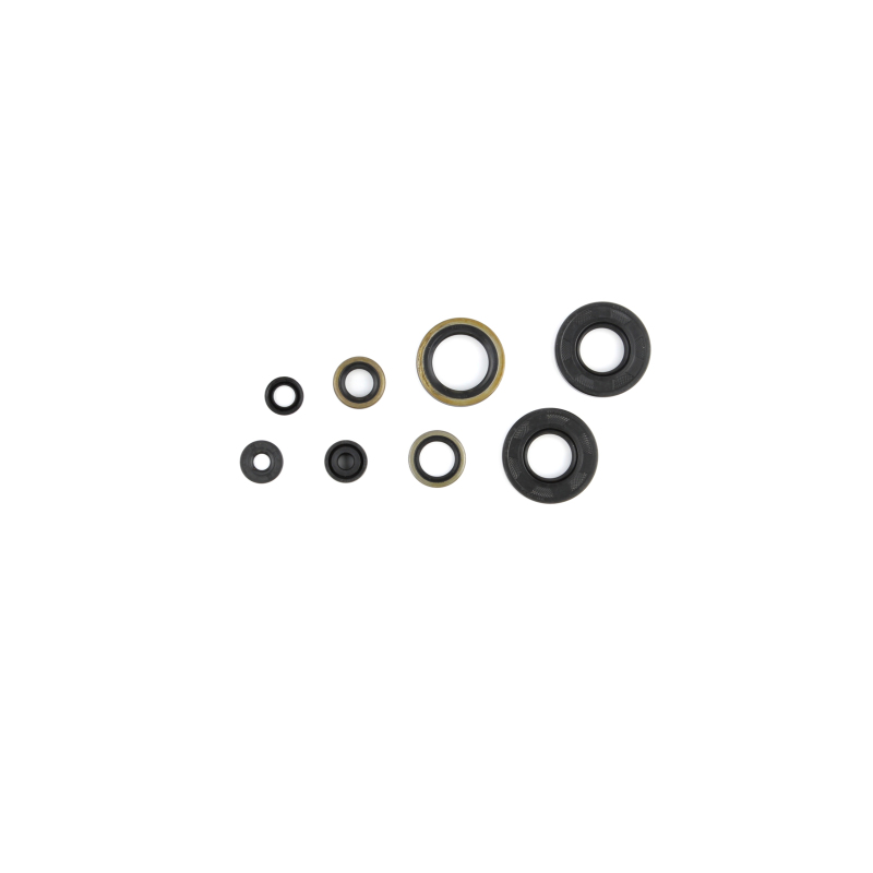 CG Oil Seal Kit