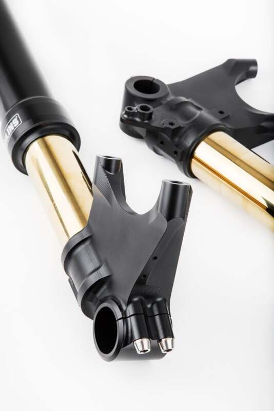 Ohlins 11-18 Ducati Diavel Custom 48 Blackline Fork