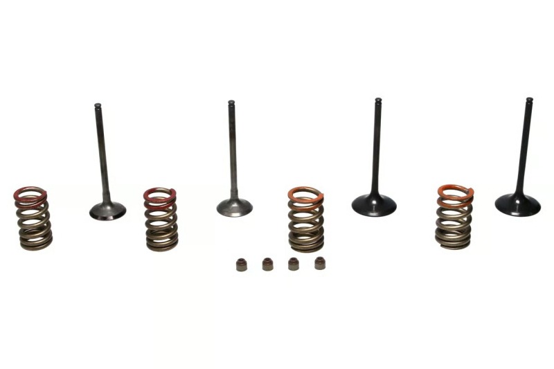 WIS Valve Kits