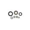 CG Oil Seal Kit