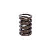 CCA Valve Springs