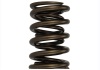 FR Valve Spring Kits