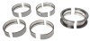 CLE Main Bearing Set