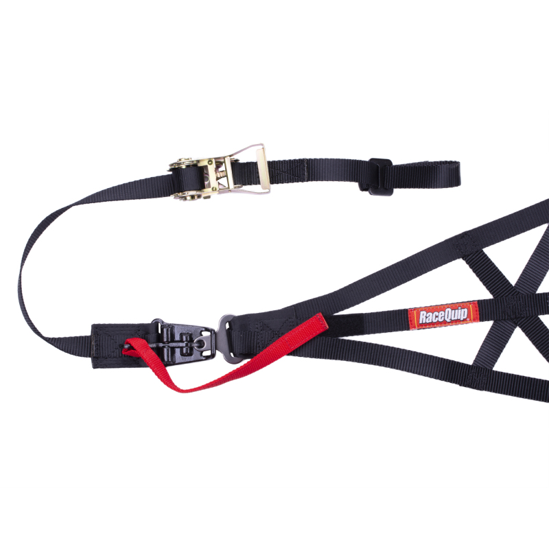 RaceQuip Black SFI 37.1 Side Roll Cage Net thumbnail 2