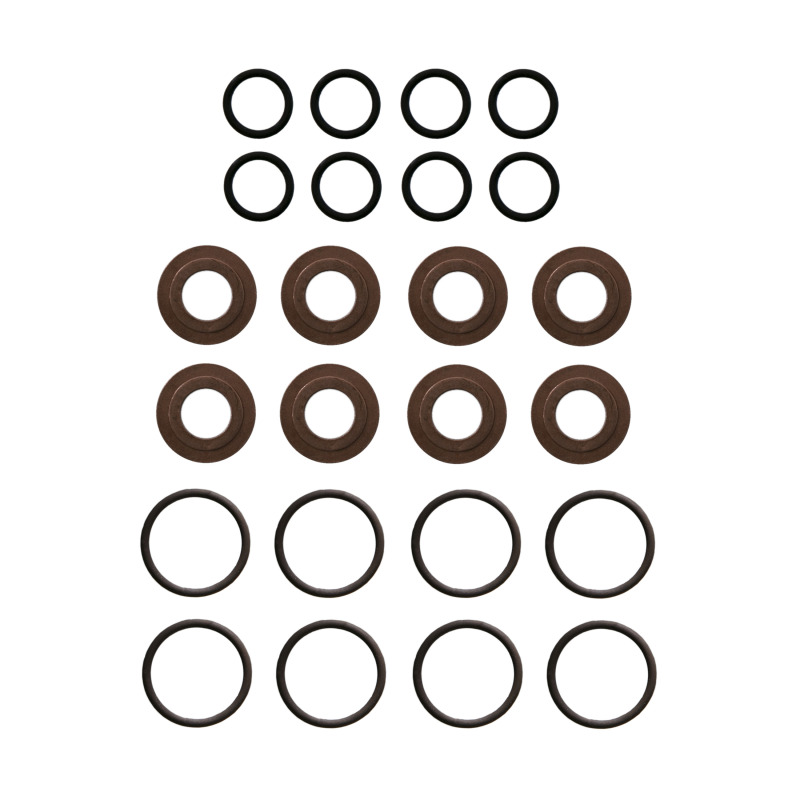 FEL Fuel Injector O-Rings
