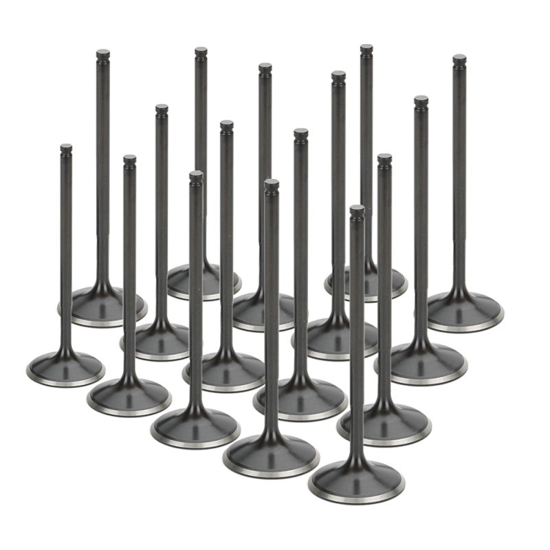 SPT Intake Valves