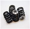 GSC Valve Spring Kits