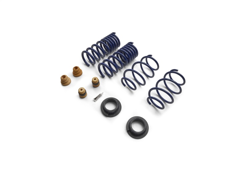 Ford Racing 15-24 Mustang Street Lowering Spring Kit