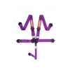 RaceQuip Purple L & L 5pt Seat Belt thumbnail 4