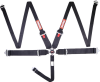 RaceQuip Black SFI CAMLOCK 5pt PD Lap HNR Seat Belt thumbnail 3