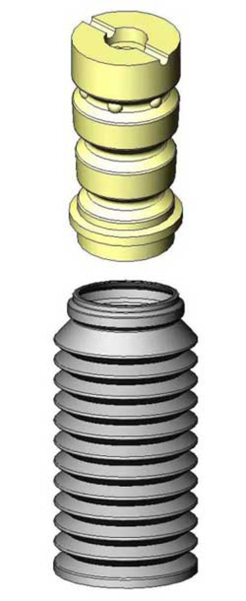 Jounce Bumper and Bellows
Jounce Bumper and Belows