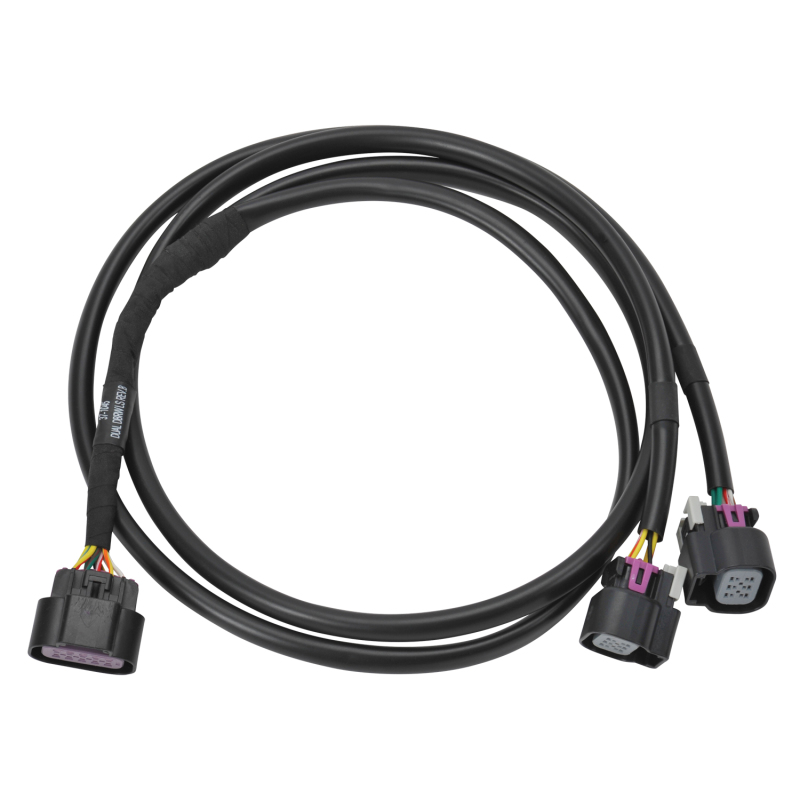 EDE Wiring Harness